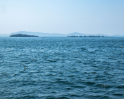 IMG_1209-web
