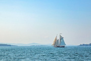 IMG_1237-web