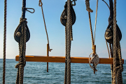 IMG_1259-web