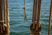 IMG_1263-web