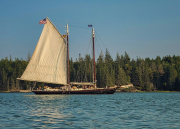 MusicCruise_12