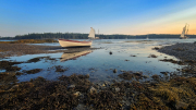 MusicCruise_33