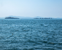 IMG_1209-web