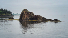 20210719_075113-PRINT