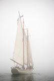 EOS-6D-Mark-II_04821