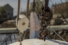 EOS-6D-Mark-II_00069-web