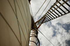 EOS-6D-Mark-II_02303