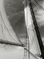 EOS-80D6038-bw-b