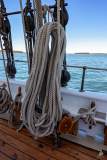 IMG_0141-web