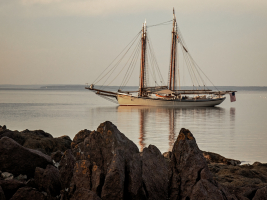 EOS-80D_0599