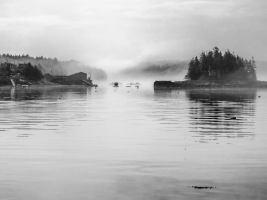 EOS-80D_0653bw